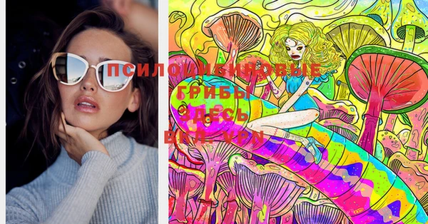 мяу мяу мука Переславль-Залесский