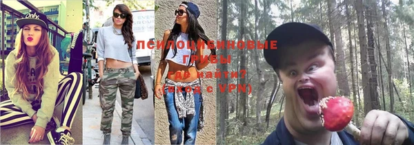 мяу мяу мука Переславль-Залесский