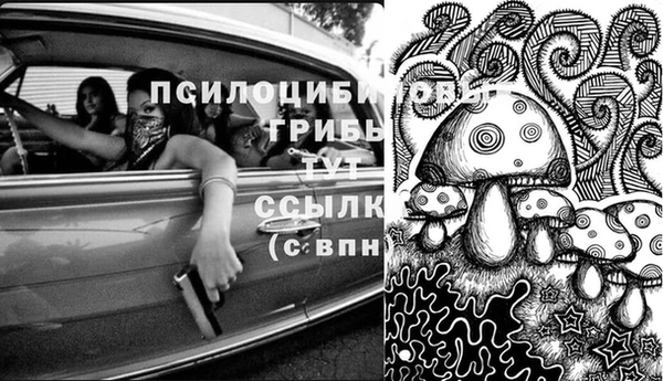 ECSTASY Пестово