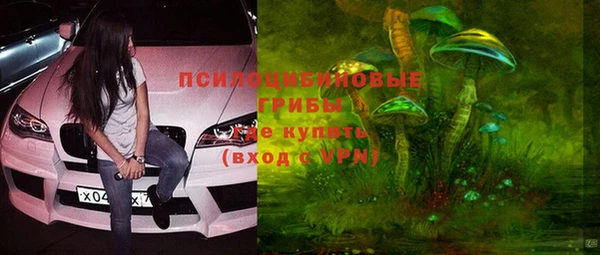 мяу мяу мука Переславль-Залесский