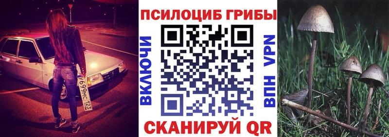 Псилоцибиновые грибы Psilocybe  где найти   Салаир 