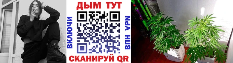 МАРИХУАНА марихуана как найти закладки Салаир